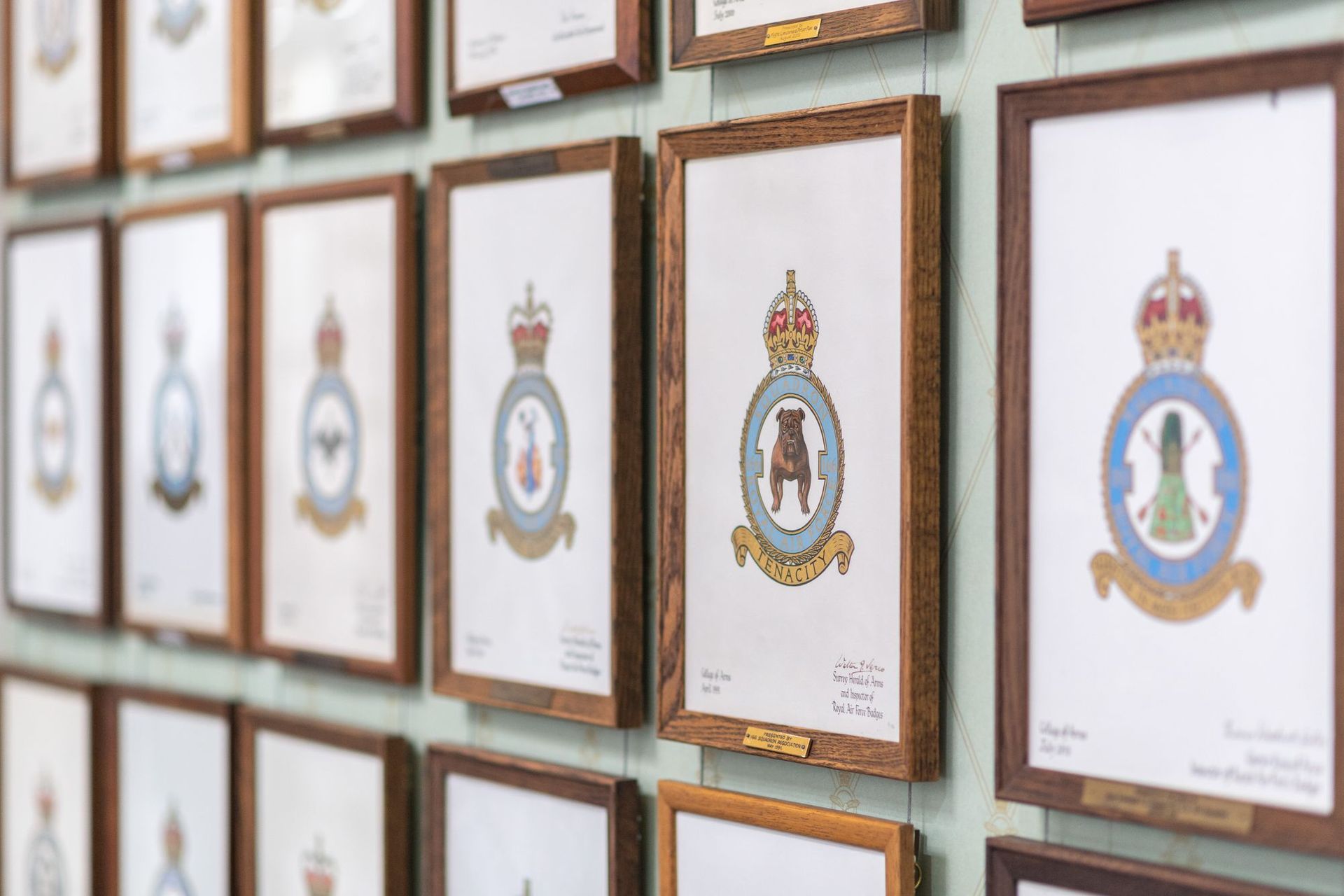 Squadron Badges